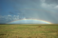 Serengeti_rainbow