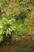 DSC_0432 Waterfall next to the Marangu gate.