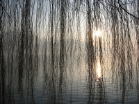 Montreux_Sunset_1 Reflejos sobre el lago Lemn. Montreux-Vaud.